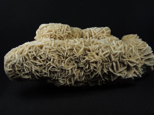 Gypsum<br />Samalayuca Desert, Municipio Ahumada, Chihuahua, Mexico<br />19.3 x 8 x 6 centimeters<br /> (Author: Ricardo Melendez)