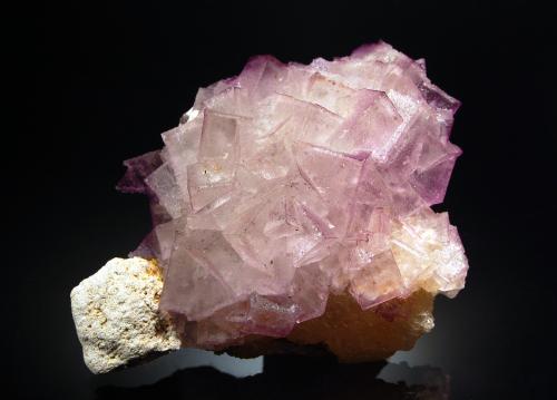 Fluorite<br />East Faircloth, Faircloth Veins, Mundy's Landing, Harrodsburg, Woodford County, Kentucky, USA<br />6.8 x 9.1 cm<br /> (Author: crosstimber)