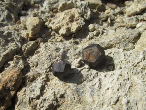 limonita<br />Keuper outcrops, Manzanera, Comarca Gúdar-Javalambre, Teruel, Aragon, Spain<br />1 cm<br /> (Autor: Miguel Ángel Martinez)