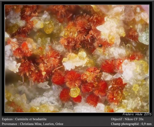 Carminite and beudantite<br />Mina Christiana, Minas Kamariza, Agios Konstantinos, Distrito minero Lavrion, Prefectura Attikí (Attica), Grecia<br />fov 0.9 mm<br /> (Author: ploum)
