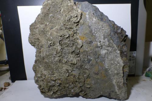 Barita<br />Mines Can Palomeres, Malgrat de Mar, Comarca Maresme, Barcelona, Cataluña / Catalunya, España<br />24x23cm<br /> (Autor: heat00)