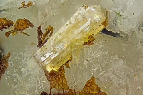 Haineaultite<br />Poudrette Quarry, Mont Saint-Hilaire, La Vallée-du-Richelieu RCM, Montérégie, Québec, Canada<br />FOV = 2mm<br /> (Author: Doug)