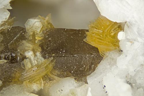Gmelinite-Na  Franconite<br />Poudrette Quarry, Mont Saint-Hilaire, La Vallée-du-Richelieu RCM, Montérégie, Québec, Canada<br />FOV = 4mm<br /> (Author: Doug)