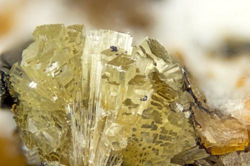 Elpidite<br />Poudrette Quarry, Mont Saint-Hilaire, La Vallée-du-Richelieu RCM, Montérégie, Québec, Canada<br /><br /> (Author: Doug)
