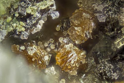 Labuntsovite-(Mn)<br />Poudrette Quarry, Mont Saint-Hilaire, La Vallée-du-Richelieu RCM, Montérégie, Québec, Canada<br />FOV = 2mm<br /> (Author: Doug)