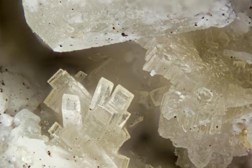 Horvathite-(Y)<br />Poudrette Quarry, Mont Saint-Hilaire, La Vallée-du-Richelieu RCM, Montérégie, Québec, Canada<br />FOV = 2mm<br /> (Author: Doug)