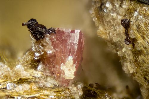 Petarasite<br />Poudrette Quarry, Mont Saint-Hilaire, La Vallée-du-Richelieu RCM, Montérégie, Québec, Canada<br />FOV = 2mm<br /> (Author: Doug)