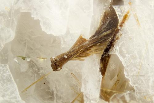 Niobokupletskite<br />Poudrette Quarry, Mont Saint-Hilaire, La Vallée-du-Richelieu RCM, Montérégie, Québec, Canada<br />FOV = 2mm<br /> (Author: Doug)