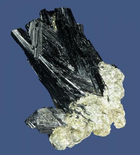 Schorl with Muscovite and Quartz<br />Mina Mount Thompson Gem, Monte Thompson, Milford, Condado Lassen, California, USA<br />65 x 47 x 34 mm<br /> (Author: GneissWare)
