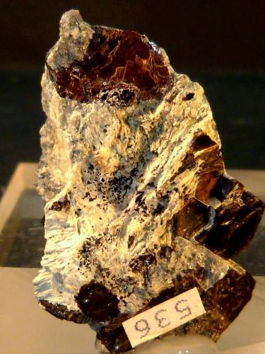 Flogopita (Grupo Mica)<br />Monte Selsurt (Monte Flora), Macizo Lovozero, Península Kola, Murmanskaja Oblast, Región del Norte, Rusia<br />4 x 2,5 x 2 cm.<br /> (Autor: Felipe Abolafia)