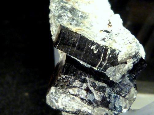 Flogopita (Grupo Mica)<br />Monte Selsurt (Monte Flora), Macizo Lovozero, Península Kola, Murmanskaja Oblast, Región del Norte, Rusia<br />4 x 2,5 x 2 cm.<br /> (Autor: Felipe Abolafia)