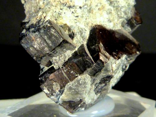 Flogopita (Grupo Mica)<br />Monte Selsurt (Monte Flora), Macizo Lovozero, Península Kola, Murmanskaja Oblast, Región del Norte, Rusia<br />4 x 2,5 x 2 cm.<br /> (Autor: Felipe Abolafia)