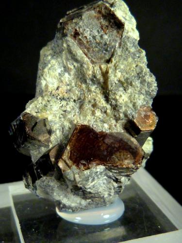 Flogopita (Grupo Mica)<br />Monte Selsurt (Monte Flora), Macizo Lovozero, Península Kola, Murmanskaja Oblast, Región del Norte, Rusia<br />4 x 2,5 x 2 cm.<br /> (Autor: Felipe Abolafia)