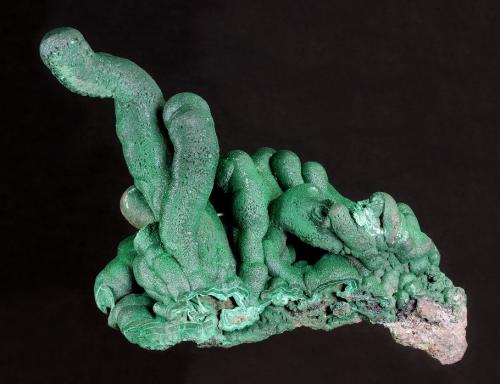 Malachite<br />L'Etoile du Congo Mine, Lubumbashi (Elizabethville), Katanga Copper Crescent, Haut-Katanga (Shaba), Democratic Republic of the Congo (Zaire)<br />125 x 91 x 58 mm<br /> (Author: GneissWare)
