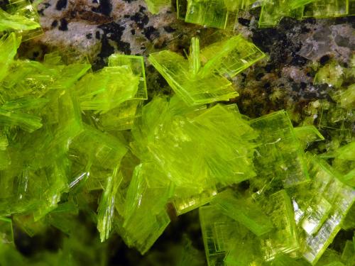 Autunite<br />Senhora da Assunção Mine, Aldeia Nova, Ferreira de Aves, Sátão, Viseu District, Portugal<br />FOV 0.8 cm<br /> (Author: Cesar M. Salvan)