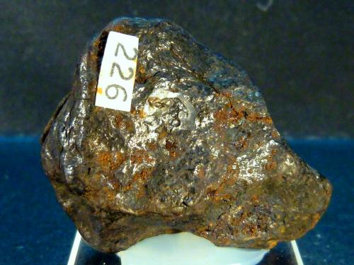 Hierro [Iron] - Níquel [Nickel]<br />Cráter Meteor, Winslow, Condado Coconino, Arizona, USA<br />4 x 4 x 1,5 cm.<br /> (Autor: Felipe Abolafia)