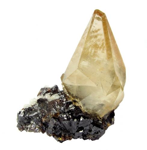 Calcite, sphalerite<br />Mina Elmwood, Carthage, Distrito Central Tennessee Ba-F-Pb-Zn, Condado Smith, Tennessee, USA<br />Specimen height 7 cm, calcite crystal 5,5 cm<br /> (Author: Tobi)