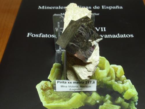 Pirita<br />Mina Ampliación a Victoria, Sierra de Alcarama, Navajún, Comarca Cervera, La Rioja, España<br />35x70 mm<br /> (Autor: Ignacio)