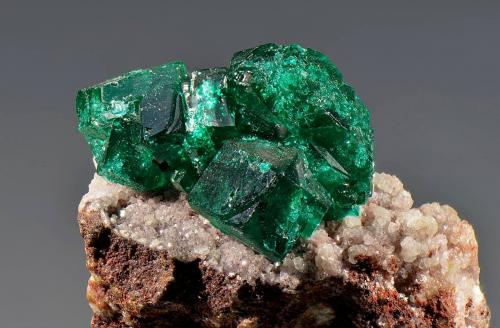 Dioptase<br />Tsumeb Mine, Tsumeb, Otjikoto Region, Namibia<br />25 x 30 mm<br /> (Author: Martin Rich)