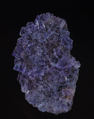 Fluorite<br />La Viesca Mine, La Collada mining area, Huergo, Siero, Comarca Oviedo, Principality of Asturias (Asturias), Spain<br />7.5 x 12.0 cm<br /> (Author: am mizunaka)