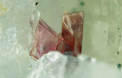 Adamita cobaltífera<br />Cogolla Alta Mine, Belalcázar, Comarca Los Pedroches, Córdoba, Andalusia, Spain<br />Campo de visión de 4 mm.<br /> (Autor: Antonio Carmona)