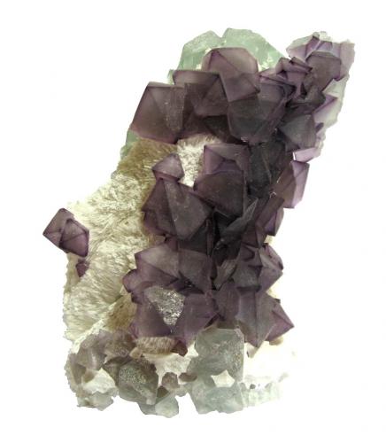Fluorite<br />De'an Mine, Wushan, De'an, Jiujiang Prefecture, Jiangxi Province, China<br />Specimen height 9,5 cm, largest fluorite crystal 1,5 cm<br /> (Author: Tobi)