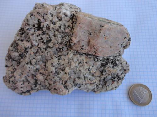 Granodiorita (Muestra problema-3)
Cala Estreta, Palamós, Girona
Aquí el megacristal tiene unos 2 x 4 cm y es de color rosado, a diferencia del feldespato potásico anterior que es blanco. En este caso no tengo una foto de la zona de extracción. Creo que también se trata de granodiorita con megacristales de feldespato-K, que supongo que será Ortoclasa. En la zona está descritos: el granito biotítico, la granodiortita con megacristales de felespato-K, leuco granitos y diversas rocas filonianas. En este caso la muestra no procedía de un filón, si no de la masa principal. (Autor: germanvet)