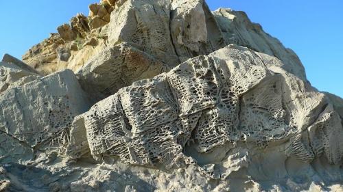 Margocaliza
Punta Paloma, Tarifa, Cádiz, Andalucía, España.
CdV: 6 m
Edad: Oligoceno
Mezcla de roca clástica (limos y arcillas) y química (caliza), con formas de erosión alveolar. (Autor: Josele)
