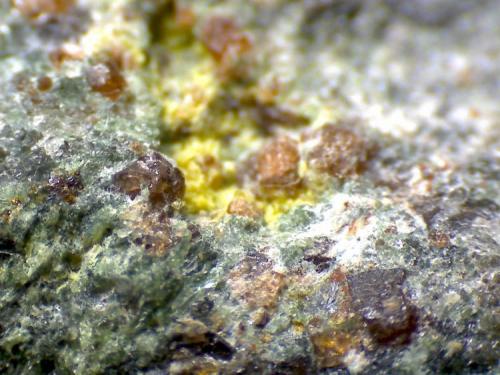Eclogita: detalle de la anterior
Lugros (Granada, España)
80X
Se observan granates (almandino-piropo), granos verdes de piroxeno (onfacita-diópsido), y algunos cristales blancos translúcidos de plagioclasa (metamorfismo retrógrado, frecuente en estas rocas de alta presión una vez en superficie), más un agregado amarillento no identificado (pienso que puede ser epidota accesoria). (Autor: prcantos)