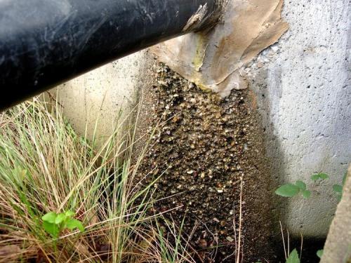 _La alternancia de materiales permeables e impermeables, el intenso plegamiento y la alta pluviosidad dan lugar a numerosos manantiales de excelente agua mineral, muy ligera de sales, sin apenas carbonatos y ligeramente ácida, refrescante e ideal para disolver piedras de riñón. Uno de los grandes terratenientes de la provincia se hace enviar semanalmente unas garrafas de esta agua a su domicilio en Sevilla.
La ligera acidez (pH 5,8) del agua proveniente de los acuíferos de estas areniscas es suficiente para comerse el cemento del hormigón a largo plazo, como puede verse bajo el desagüe de esta captación.
La Zorrilla, Los Barrios, Cádiz. (Autor: Josele)