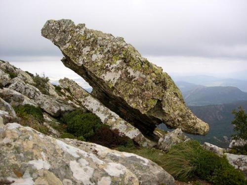 _Bocadillo de arcilla en bollo de arenisca cerca de la cumbre del Picacho. Todas las sierras que se ven al fondo están formadas por estas areniscas. El muestrario de líquenes impide ver las características de la roca, estamos cerca del lugar con mayor pluviosidad de España. De hecho al poco rato nos cayó encima un buen chaparrón.
Alcalá de los Gazules, Cádiz. (Autor: Josele)