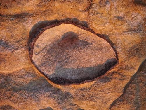 _En los bancos de arenisca hay frecuentes filoncillos ricos en óxidos de hierro rellenando grietas y algunas estructuras curiosas, como esta cáscara ferruginosa. Aunque los óxidos tienen menor dureza que el cuarzo de la arenisca, estas capas están mas cementadas y resisten mejor la intemperie, por lo que la erosión diferencial provoca un relieve positivo. (Autor: Josele)