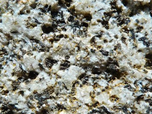 Granito o granodiorita
Benasque, Huesca, Aragón, España.
CdV: 2,5 cm
Yo veo pocos granos de cuarzo, por eso pienso que podría ser granodiorita, también común en la zona. Aparte de la biotita y otros minerales oscuros, me parece ver algunos granos verde-azulados. (Autor: Josele)