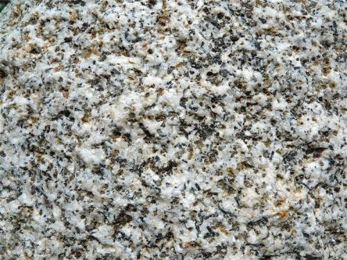 Granito o granodiorita
Benasque, Huesca, Aragón, España.
CdV: 5 cm
Se aprecia bien la biotita y quizás algún otro mineral oscuro.
Lo amarillo / naranja son líquenes, hace años que lo tengo en el jardín. (Autor: Josele)