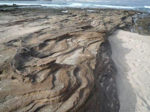 Toba sobre arena caliza
La Isleta, Gran Canaria, España
A pesar de su color claro, contrasta con la arena blanca formada por restos de concha triturados (Autor: María Jesús M.)