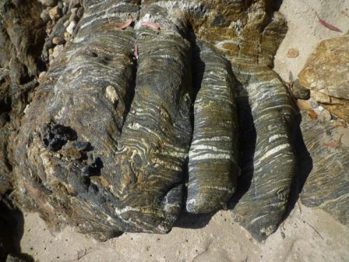 Gneis - migmatita, con venas de cuarzo.
Playa "A Insuela", Palmeira, Santa Uxía de Ribeira, A Coruña, Galicia
Aproximadamente 1 metro.
Edad: Precámbrico- Silúrico
Perteneciente al Complejo de Noya. (Autor: Rafael varela olveira)