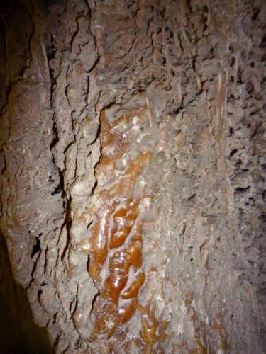 Caliza.
Entre las masas de calizas porosas podemos encontrarnos con sorpresas, como esta masa de caliza compacta, brillante y "supercoloreada"
Monasterio de Piedra. Nuévalos. Zaragoza
Ancho de imagen 40 cm (Autor: María Jesús M.)