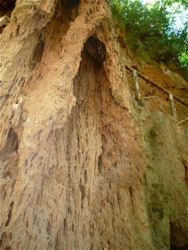 Travertino / toba caliza
Entre travertino y toba caliza
Monasterio de Piedra. Nuévalos. Zaragoza
Ancho de imagen 3 metros (Autor: María Jesús M.)