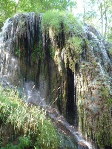 Caliza.
A medida que cesa el flujo de agua, el carbonato se deposita sobre la vegetación, dando masas calizas como las de la parte inferior derecha.
Monasterio de Piedra. Nuévalos. Zaragoza (Autor: María Jesús M.)