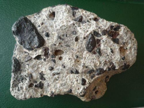 Conglomerado cementado por arenisca caliza, con cantos rodados de rocas volcánicas variadas y restos fósiles
Famara, Lanzarote
Ancho de imagen 12 cm. (Autor: María Jesús M.)