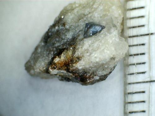 Carbonatita con cristal negro de latrappita (otra vista)
Oka, Québec (Canadá)
Latrappita: (Ca,Na)(Nb,Ti,Fe)O .  Más que infrecuente, este mineral es un endemismo del complejo de Oka. (Autor: prcantos)