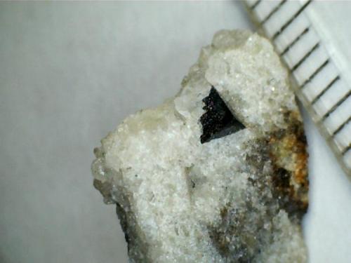 Carbonatita con cristal negro de latrappita
Oka, Québec (Canadá)
Carbonatita de grano fino con un cristal de latrappita (un ejemplar de la misma zona ya se discutió aquí http://www.foro-minerales.com/forum/viewtopic.php?t=7302 ). (Autor: prcantos)