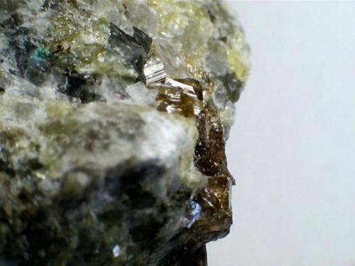 Carbonatita: cristales de vesubianita (detalle de la anterior)
Cove Creek exposure, Magnet Cove, Hot  Spring County, Arkansas (Estados Unidos)
20X
Uno de los minerales poco frecuentes que aparecen en las carbonatitas: vesubianita. (Autor: prcantos)