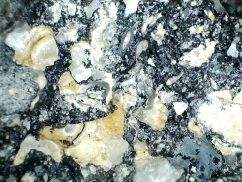 Suevita (otra vista en detalle)
Cráter de Nördlinger-Ries (Baviera, Alemania)
20X
Se aprecia la trituración de los granos de arena (amarillos, con estructuras concéntricas) y la disposición algo fluida en la matriz de vidrio negro. (Autor: prcantos)