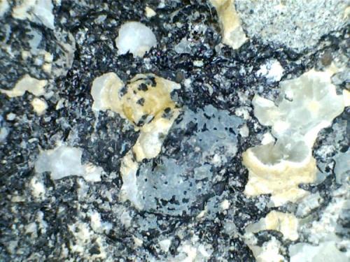 Suevita (detalle de la anterior)
Cráter de Nördlinger-Ries (Baviera, Alemania)
20X
Vista en detalle: granos de arena fragmentados (color blanco-amarillento), vidrio negro, y una formación azul de sílice. (Autor: prcantos)