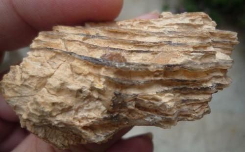 Sedimentación de arcillas alternando con ópalo
Sahara Occidental, Marruecos
Ancho de imagen 6 cm (Autor: María Jesús M.)
