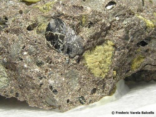 Kimberlita
República Sudafricana
Encuadre 1 x 0,5 aprox.
Detalle de la mica (biotita o flogopita) y de la posible serpentina. (Autor: Frederic Varela)