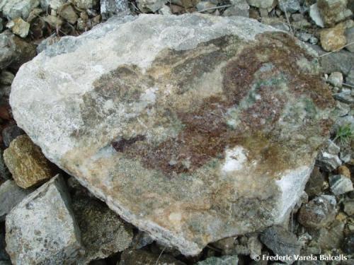 Skarn calcosilicatado
Pedreres de Gualba, Gualba, Vallès Oriental, Barcelona, Catalunya, España.
40 x 40 cm. aprox.
Efecto del metamorfismo de contacto de los granitos sobre el mármol calcítico, que provoca la formación de minerales calcosilicatados como los que se aprecian en la foto: granate de la serie Andradita-Gosularia (marrón oscuro) y Diópsido (verde). (Autor: Frederic Varela)