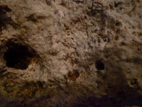 Calizas arrecifales.
El Estanyol de Mitjorn, Llucmajor, Mallorca, Islas Baleares, España.
37 x 26 x 19 cm.
Detalle de la muestra anterior. (Autor: Rafael varela olveira)
