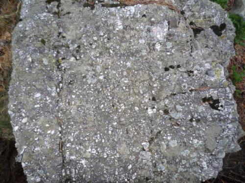 Conglomerado con clastos silíceos
Laguna Negra, entre los municipios de Vinuesa y Covaleda, Soria, en Castilla y León (España)”.
Ancho de imagen 1 m. (Autor: María Jesús M.)